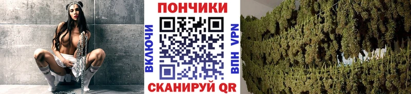 Купить МАРИХУАНА Метадон Alpha PVP ГАШИШ Меф мяу мяу Белореченск